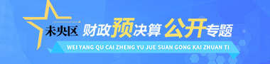 未央区财政预决算公开专题